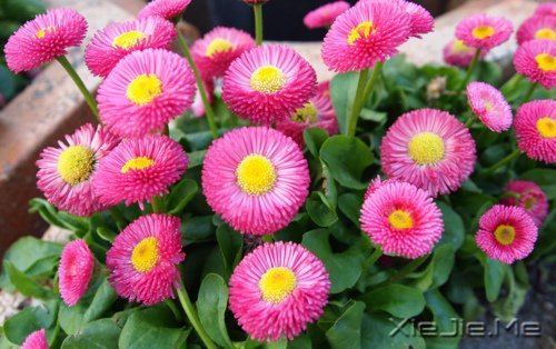 有人能让你痛苦,说明你的修行还不够 (4)