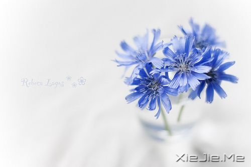 你只有读懂了生命之重,才能看淡时光之轻 (1)