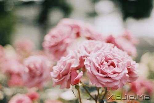 你只有读懂了生命之重,才能看淡时光之轻 (7)