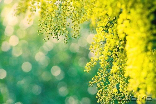 一路感恩,且行且珍惜 (4)