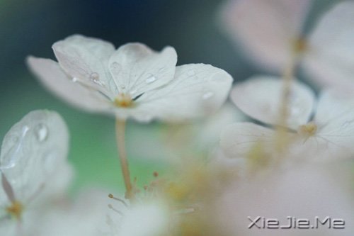 ������������������ǵ�Ȼ (10)