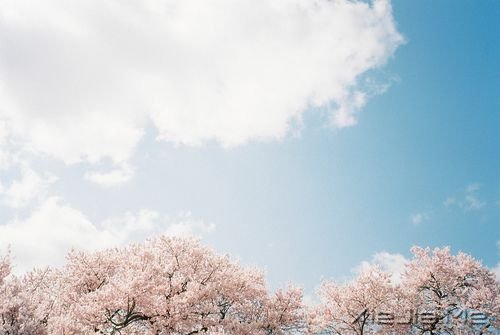 早安心语:生活只有经得起平静,方才显淡泊宁静的真实 (6)