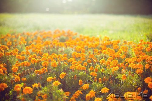 做好自己不留任何遗憾 (10)